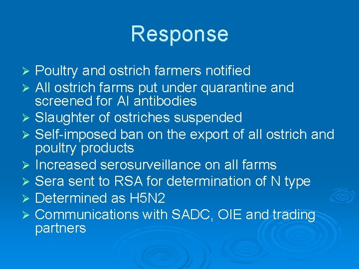 Response Poultry and ostrich farmers notified All ostrich farms put under quarantine and screened