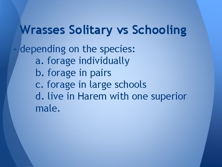 Wrasses Solitary vs Schooling - depending on the species: a. forage individually b. forage