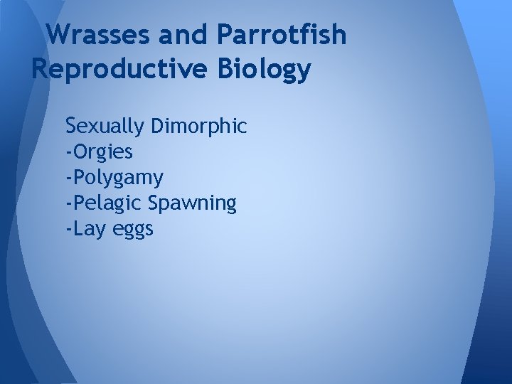 Wrasses and Parrotfish Reproductive Biology Sexually Dimorphic -Orgies -Polygamy -Pelagic Spawning -Lay eggs 