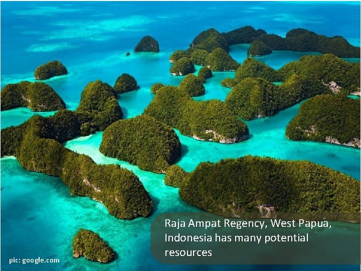 pic: google. com Raja Ampat Regency, West Papua, Indonesia has many potential resources 