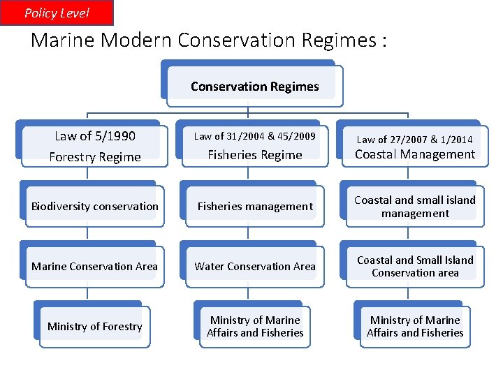 Policy Level Marine Modern Conservation Regimes : Conservation Regimes Law of 5/1990 Forestry Regime