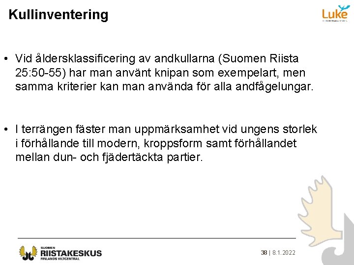 Kullinventering • Vid åldersklassificering av andkullarna (Suomen Riista 25: 50 -55) har man använt