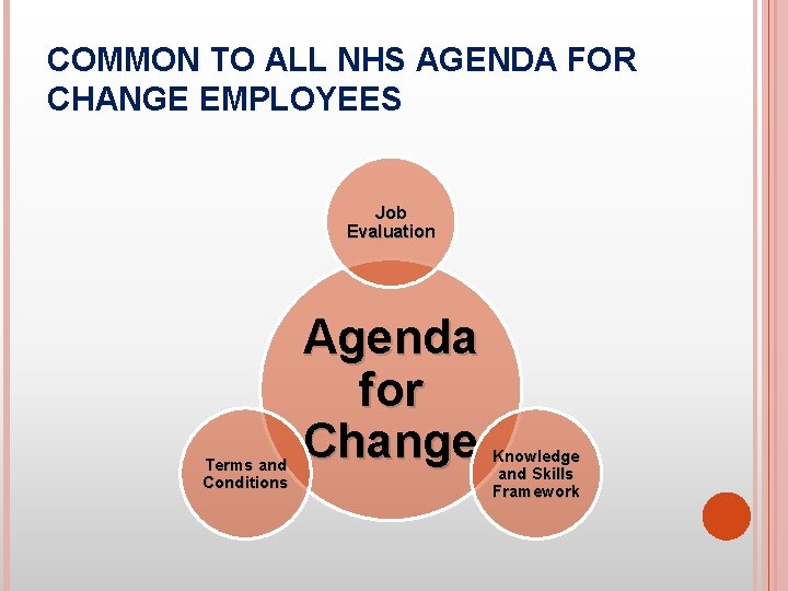 COMMON TO ALL NHS AGENDA FOR CHANGE EMPLOYEES Job Evaluation Terms and Conditions Agenda