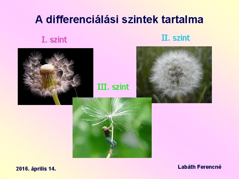 A differenciálási szintek tartalma II. szint III. szint 2016. április 14. Labáth Ferencné 