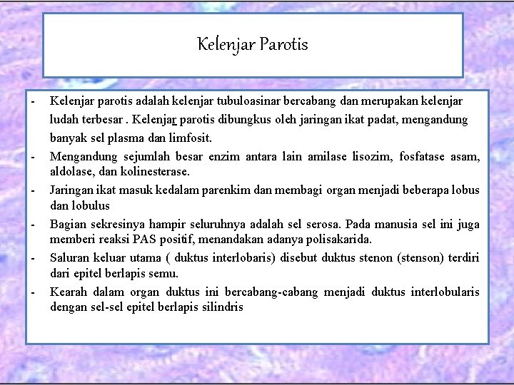 Kelenjar Parotis - - Kelenjar parotis adalah kelenjar tubuloasinar bercabang dan merupakan kelenjar ludah