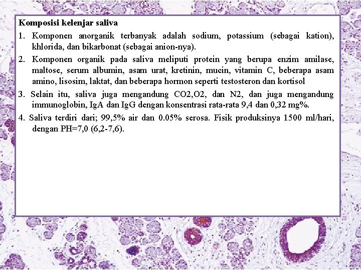 Komposisi kelenjar saliva 1. Komponen anorganik terbanyak adalah sodium, potassium (sebagai kation), khlorida, dan