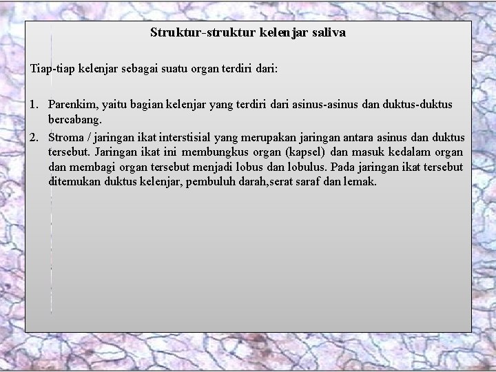 Struktur-struktur kelenjar saliva Tiap-tiap kelenjar sebagai suatu organ terdiri dari: 1. Parenkim, yaitu bagian