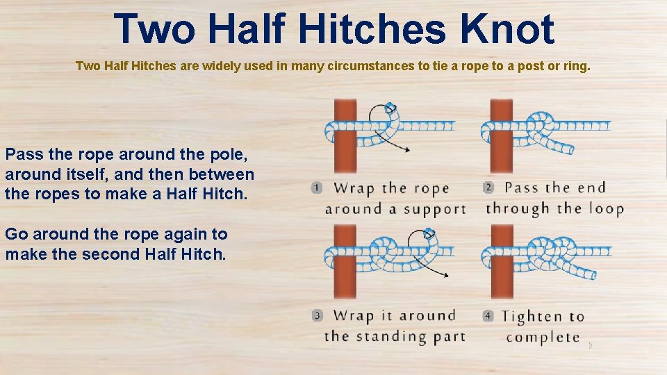 Two Half Hitches Knot Two Half Hitches are widely used in many circumstances to