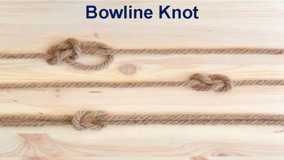 Bowline Knot 