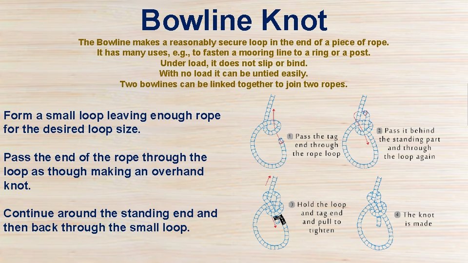 Bowline Knot The Bowline makes a reasonably secure loop in the end of a