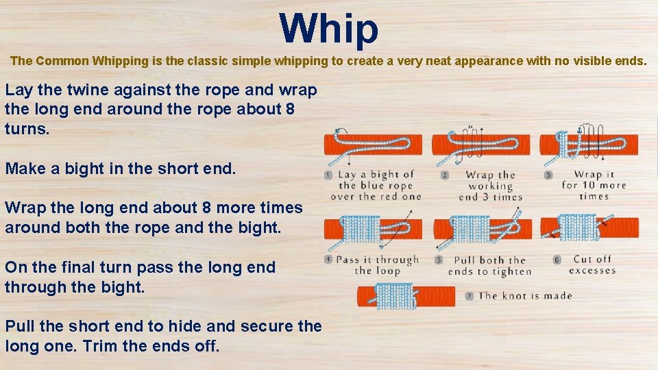 Whip The Common Whipping is the classic simple whipping to create a very neat