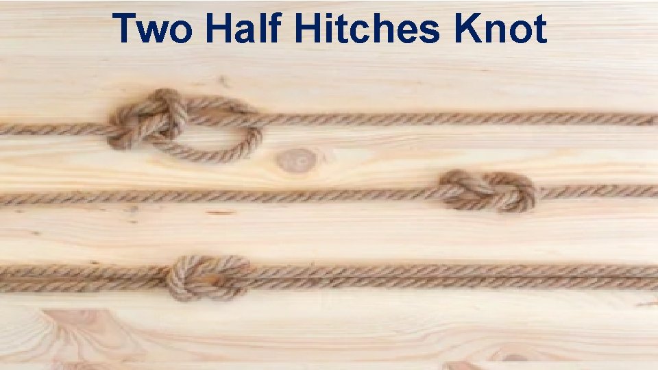 Two Half Hitches Knot 