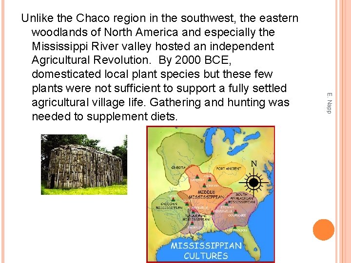 E. Napp Unlike the Chaco region in the southwest, the eastern woodlands of North