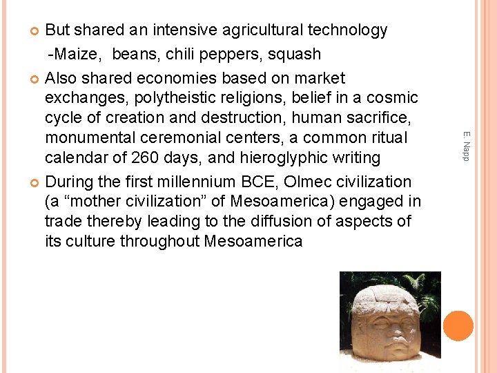 But shared an intensive agricultural technology -Maize, beans, chili peppers, squash Also shared economies