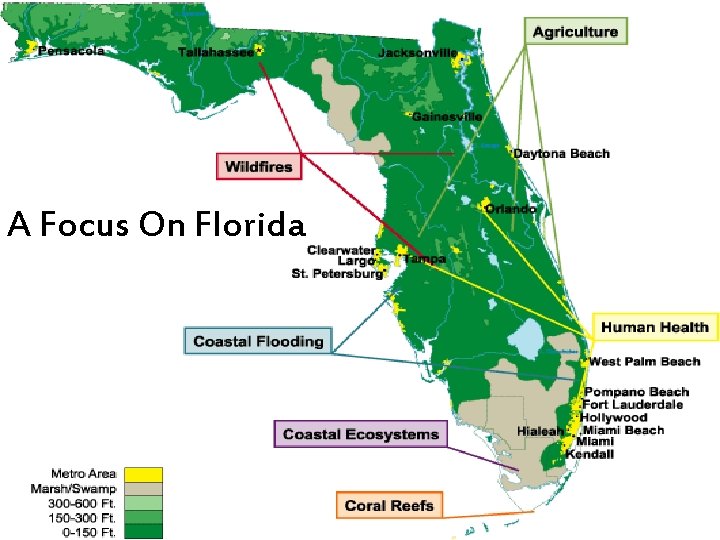 A Focus On Florida 