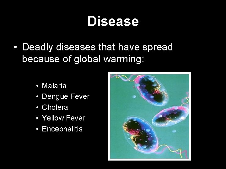 Disease • Deadly diseases that have spread because of global warming: • • •