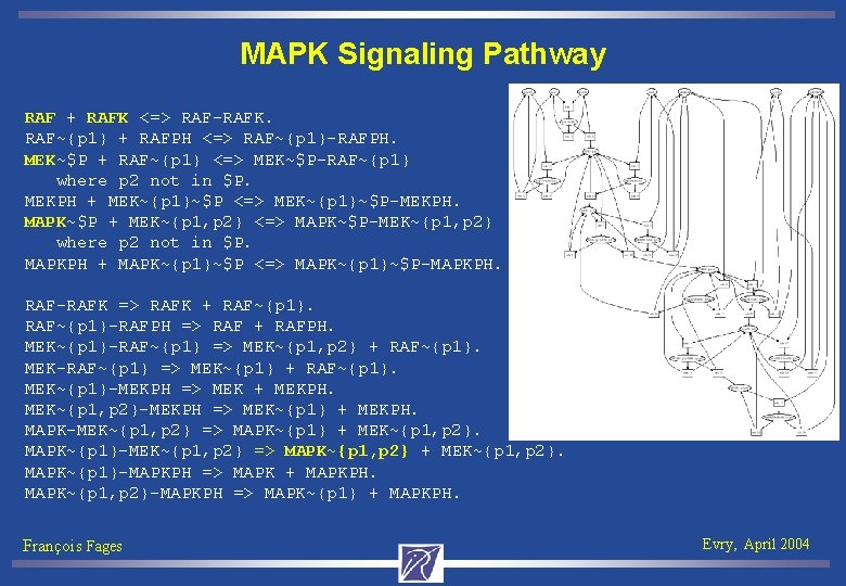 MAPK Signaling Pathway RAF + RAFK <=> RAF-RAFK. RAF~{p 1} + RAFPH <=> RAF~{p
