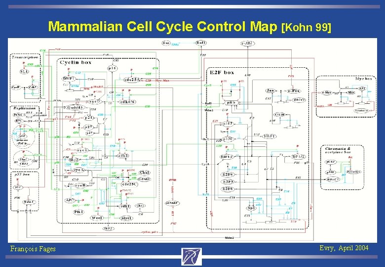 Mammalian Cell Cycle Control Map [Kohn 99] François Fages Evry, April 2004 