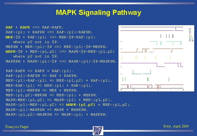 MAPK Signaling Pathway RAF + RAFK <=> RAF-RAFK. RAF~{p 1} + RAFPH <=> RAF~{p