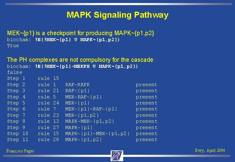 MAPK Signaling Pathway MEK~{p 1} is a checkpoint for producing MAPK~{p 1, p 2}