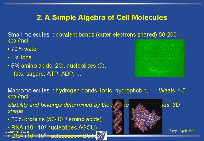 2. A Simple Algebra of Cell Molecules Small molecules : covalent bonds (outer electrons