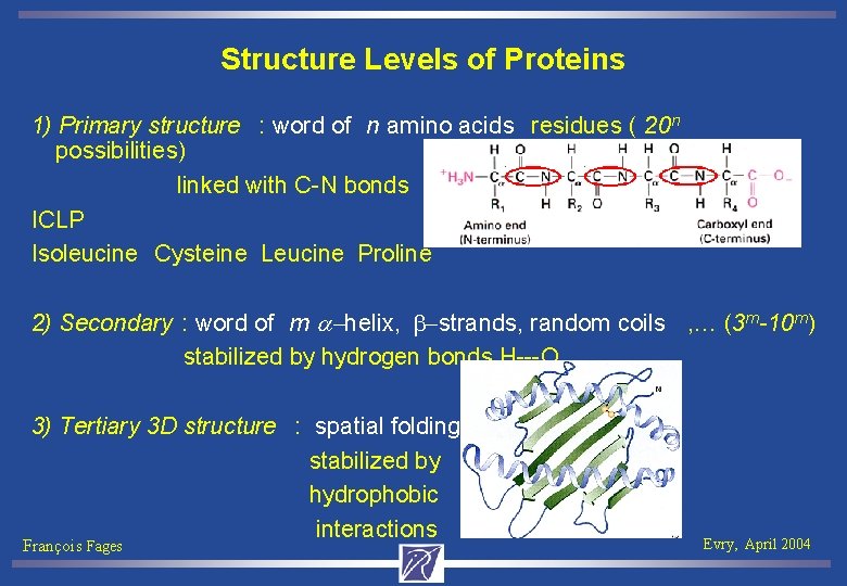 Structure Levels of Proteins 1) Primary structure : word of n amino acids residues