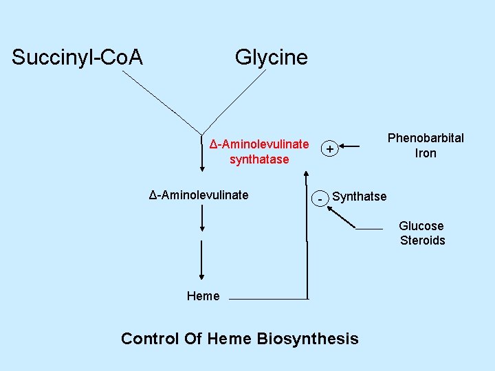 Succinyl-Co. A Glycine Δ-Aminolevulinate synthatase Δ-Aminolevulinate + Phenobarbital Iron - Synthatse Glucose Steroids Heme