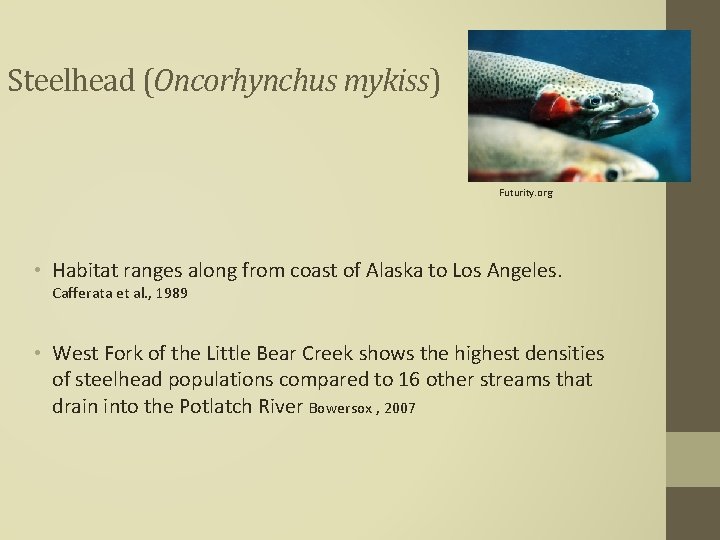 Influences of flow augmentation on steelhead trout habitat