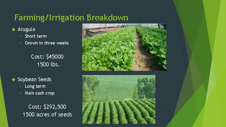Farming/Irrigation Breakdown Arugula Short term • Grown in three weeks • Cost: $45000 1500