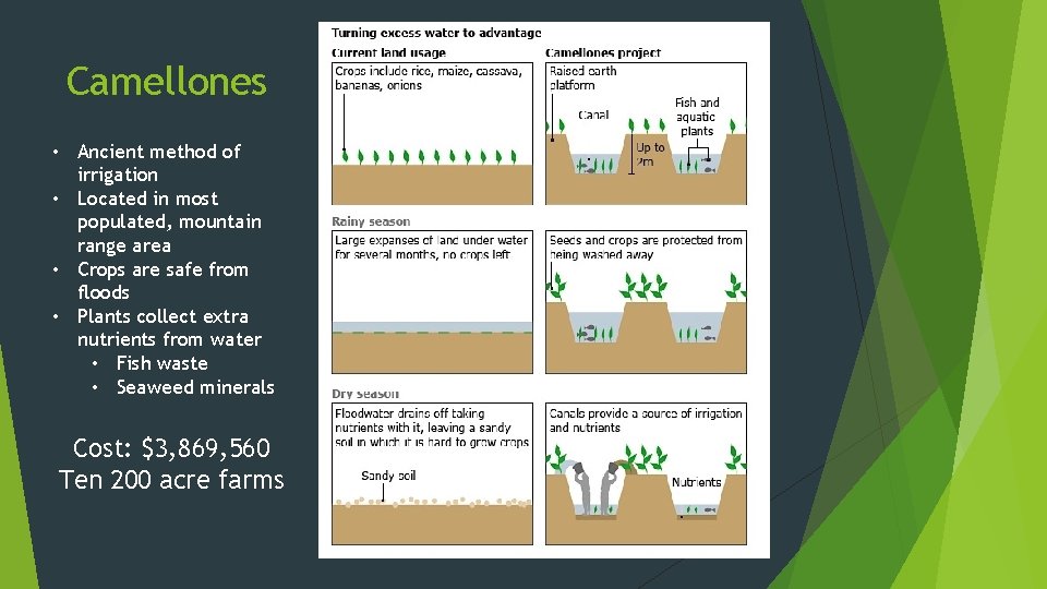 Camellones • Ancient method of irrigation • Located in most populated, mountain range area