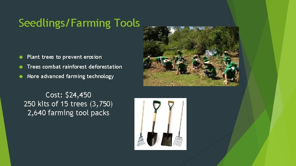 Seedlings/Farming Tools Plant trees to prevent erosion Trees combat rainforest deforestation More advanced farming