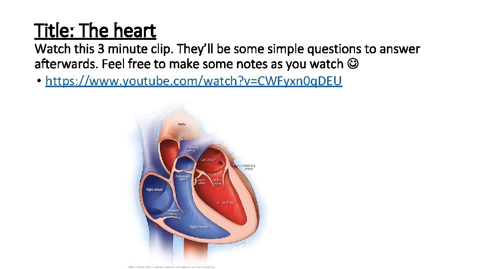Title: The heart Watch this 3 minute clip. They’ll be some simple questions to Title: The heart Watch this 3 minute clip. They’ll be some simple questions to