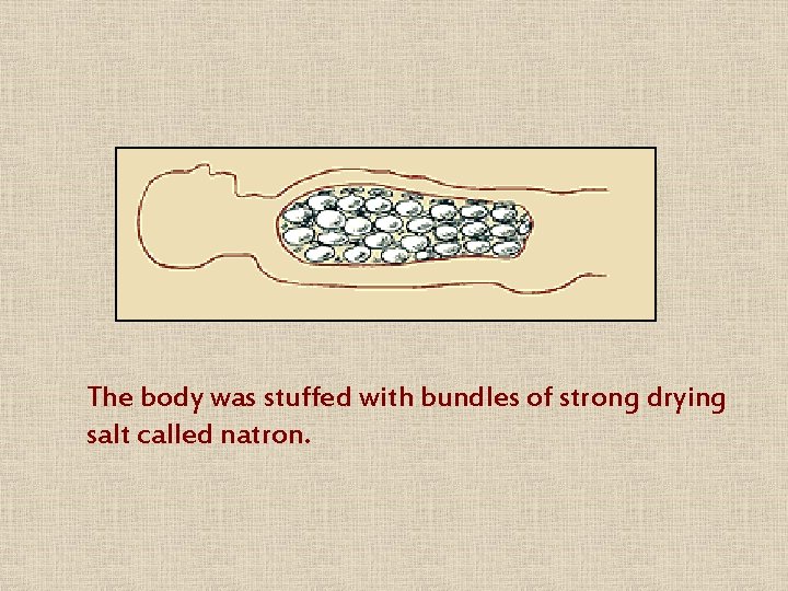 The body was stuffed with bundles of strong drying salt called natron. 