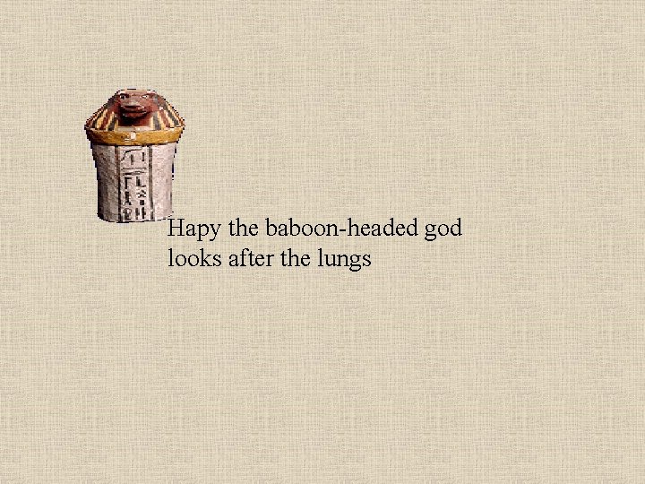 Hapy the baboon-headed god looks after the lungs 