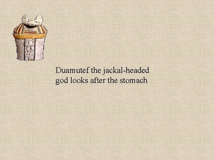 Duamutef the jackal-headed god looks after the stomach 