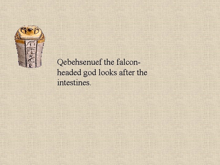 Qebehsenuef the falconheaded god looks after the intestines. 