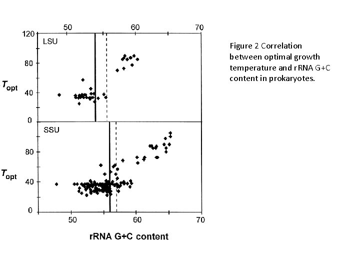 Figure 2 Correlation between optimal growth temperature and r. RNA G+C content in prokaryotes.