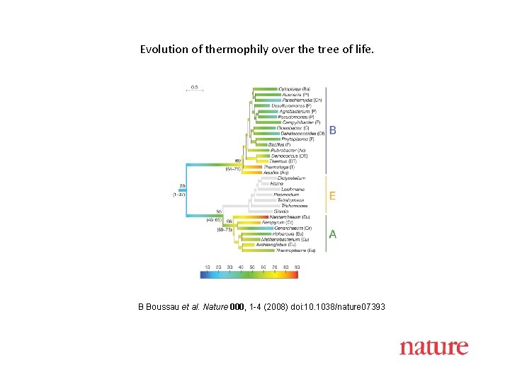 Evolution of thermophily over the tree of life. B Boussau et al. Nature 000,