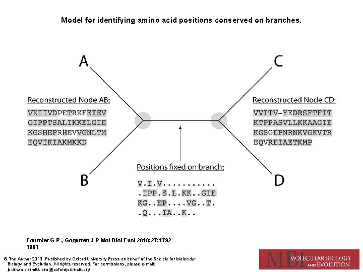 Model for identifying amino acid positions conserved on branches. Fournier G P , Gogarten