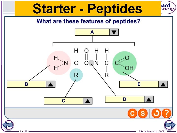 Starter - Peptides 3 of 29 © Boardworks Ltd 2008 