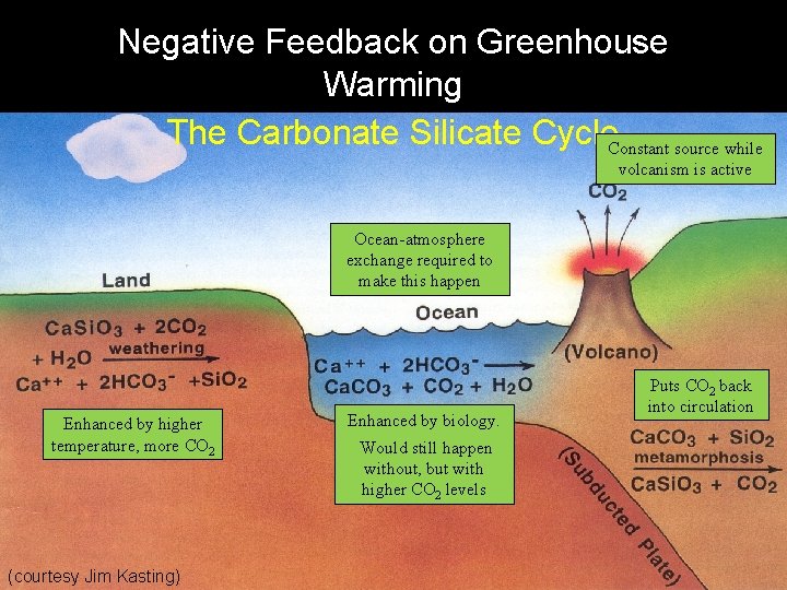 Negative Feedback on Greenhouse Warming The Carbonate Silicate Cycle. Constant source while volcanism is