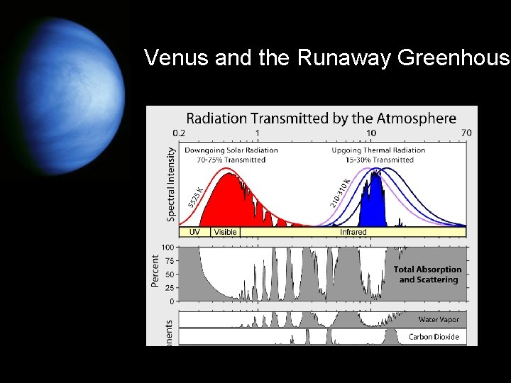 Venus and the Runaway Greenhouse 