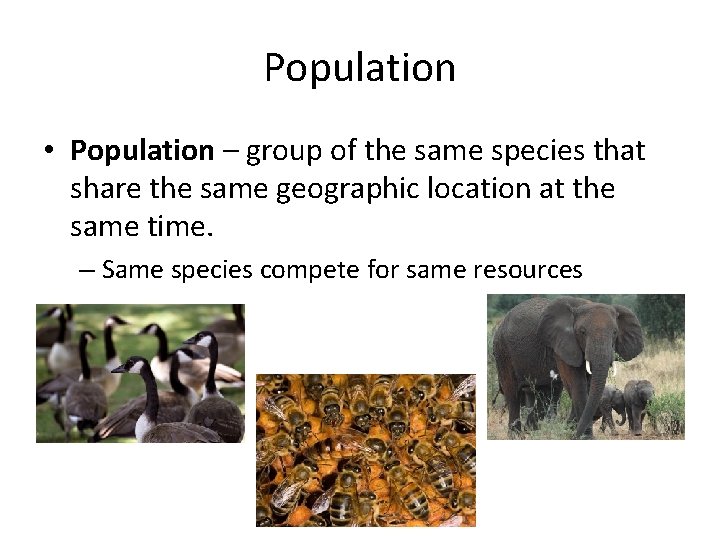 Population • Population – group of the same species that share the same geographic