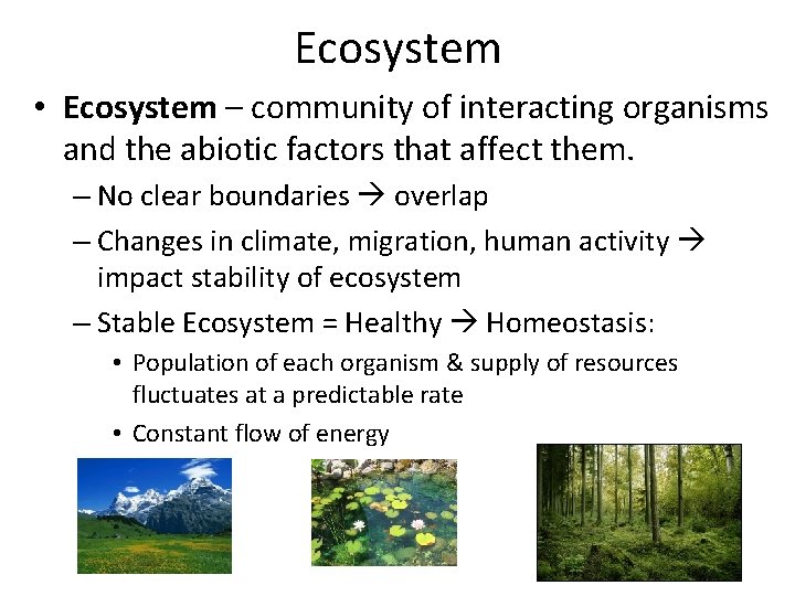 Ecosystem • Ecosystem – community of interacting organisms and the abiotic factors that affect