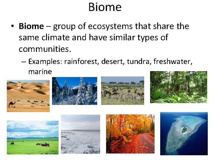 Biome • Biome – group of ecosystems that share the same climate and have