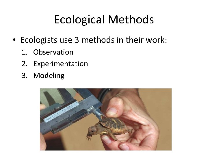 Ecological Methods • Ecologists use 3 methods in their work: 1. Observation 2. Experimentation