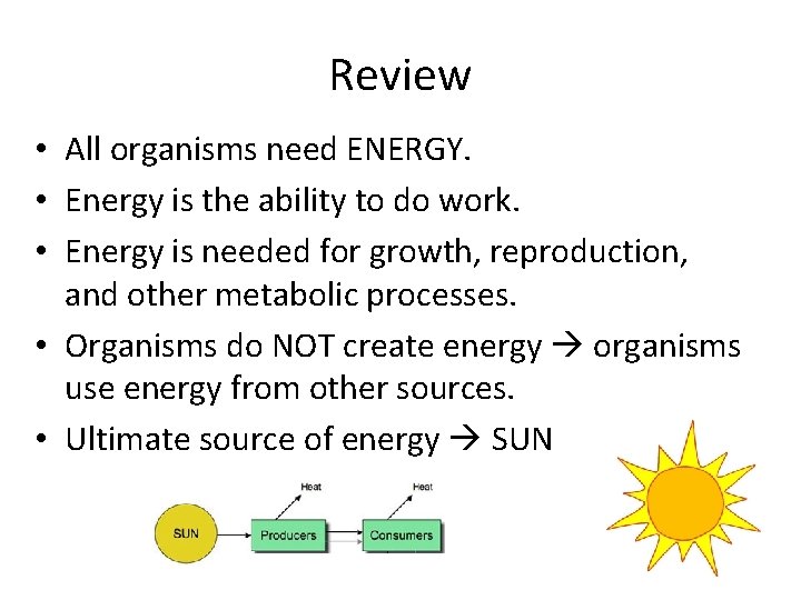 Review • All organisms need ENERGY. • Energy is the ability to do work.