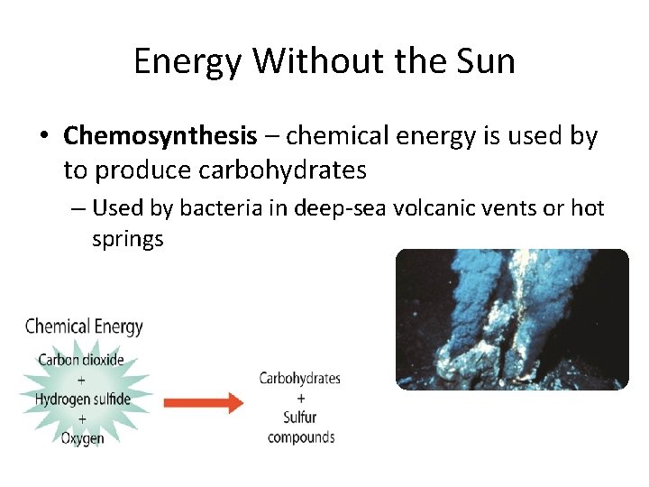 Energy Without the Sun • Chemosynthesis – chemical energy is used by to produce