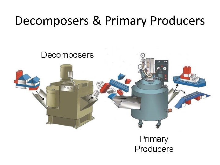 Decomposers & Primary Producers Decomposers Primary Producers 