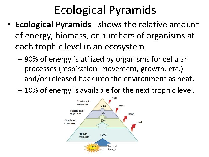 Ecological Pyramids • Ecological Pyramids - shows the relative amount of energy, biomass, or